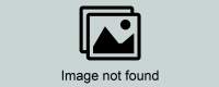 The Nationals